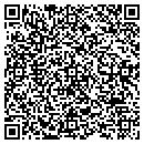 QR code with Professional Drywall contacts