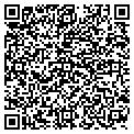 QR code with Aspect contacts