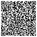 QR code with Cognito Networks Inc contacts