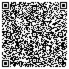 QR code with Pugh Painting & Drywall contacts