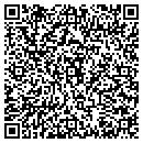 QR code with Pro-Shine Inc contacts