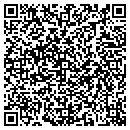 QR code with Professional Design & Dev contacts