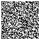 QR code with Public Storage contacts