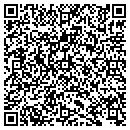 QR code with Blue Oval Pony Cars LLC contacts