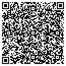 QR code with C & H Auto Sales Inc contacts