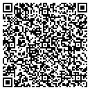 QR code with Pyramid Drywall Inc contacts