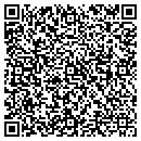 QR code with Blue Sky Remodeling contacts