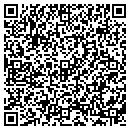 QR code with Bitplex Systems contacts