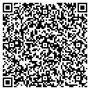 QR code with Pushtotest Inc contacts