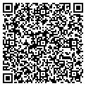 QR code with M-City contacts