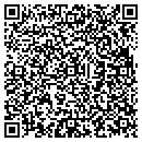 QR code with Cyber Cafe Zone Inc contacts