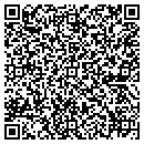QR code with Premier Sound & Light contacts