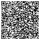 QR code with C D S Garden contacts
