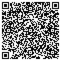 QR code with Amnesia contacts