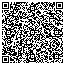 QR code with Pro Chiropractic Inc contacts