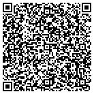 QR code with Blimpie Subs & Salads contacts