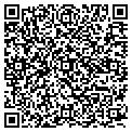 QR code with Cosmos contacts