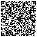QR code with Basil contacts