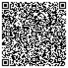 QR code with Blimpie Subs & Salads contacts