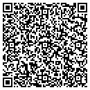 QR code with Carpet Outlet Plus contacts