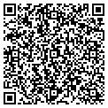 QR code with Studio contacts