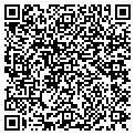 QR code with M Salon contacts