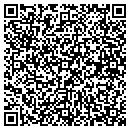 QR code with Colusa Body & Paint contacts