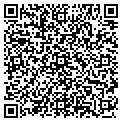 QR code with Modivs contacts