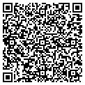 QR code with Willow contacts