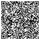 QR code with Catiis Corporation contacts