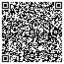 QR code with Capture It Usa LLC contacts