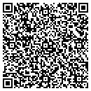 QR code with Professional C C Tv contacts