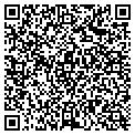 QR code with Instep contacts