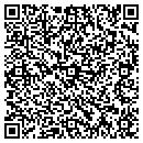 QR code with Blue Sage Art Gallery contacts