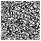 QR code with Briese Computer Service contacts
