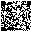 QR code with Amvets contacts