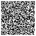 QR code with Photos contacts