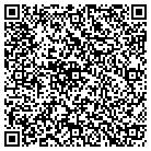 QR code with Blink Spa Incorporated contacts