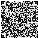 QR code with Professional Hd Repair contacts