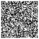 QR code with Pulsar Electronics contacts