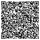 QR code with Brians Tree Service contacts