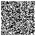QR code with Wlvt Tv contacts