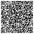 QR code with Carrier Corporation contacts