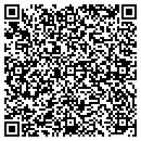 QR code with Pvr Technical Service contacts