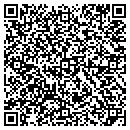 QR code with Professional Air West contacts