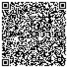 QR code with Blister Marine Service contacts