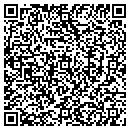 QR code with Premier System Inc contacts