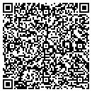 QR code with Cygnet Enterprises LLC contacts