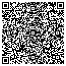 QR code with Chapman Cleaning LLC contacts