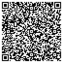 QR code with Clean It Green LLC contacts
